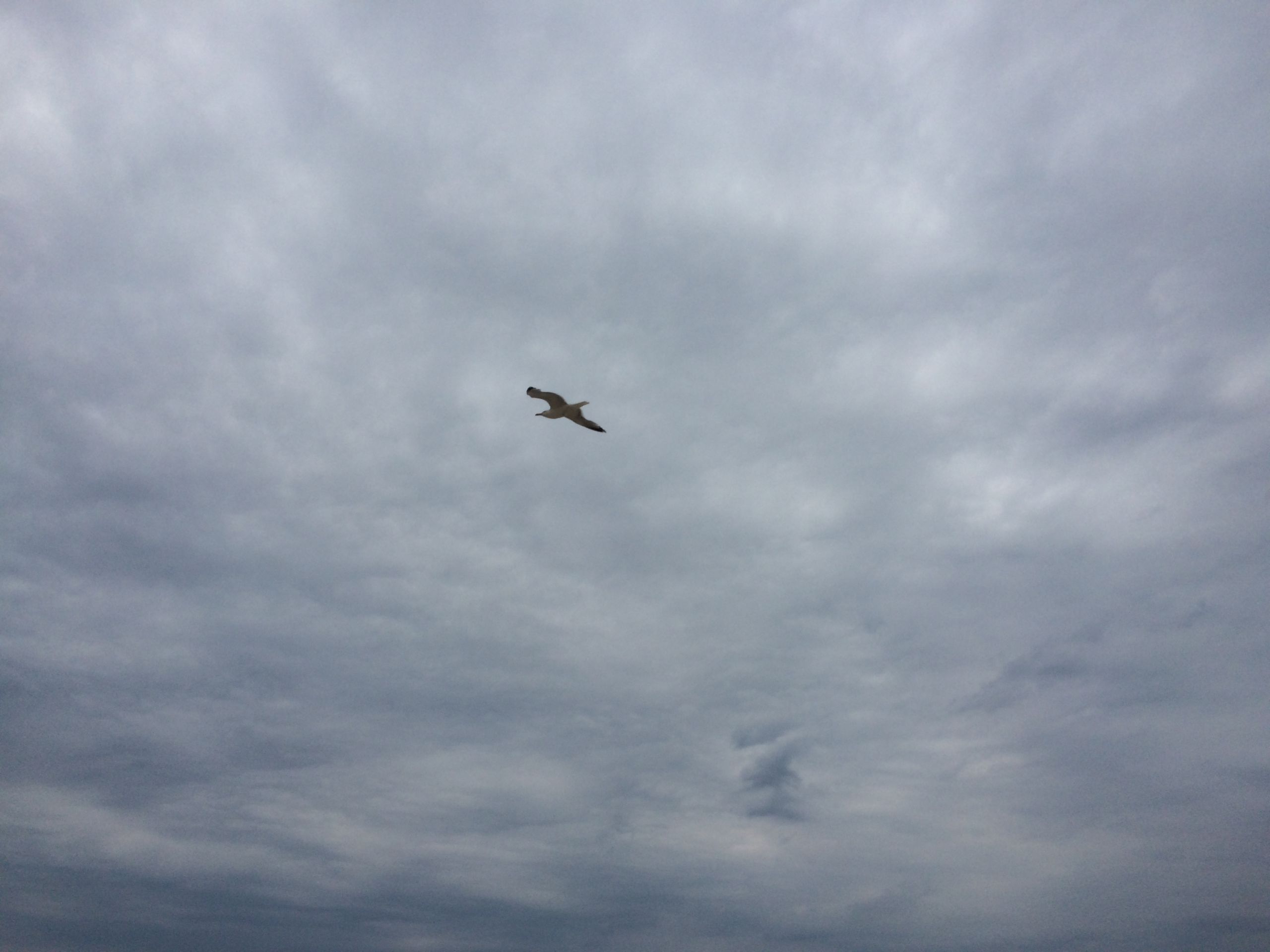 022-warum-stehe-ich-morgens-auf