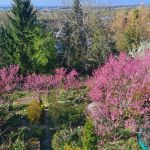 202503 Am Burgweg 11