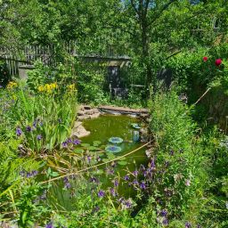 Garten Am Burgweg 11, 76227 Karlsruhe