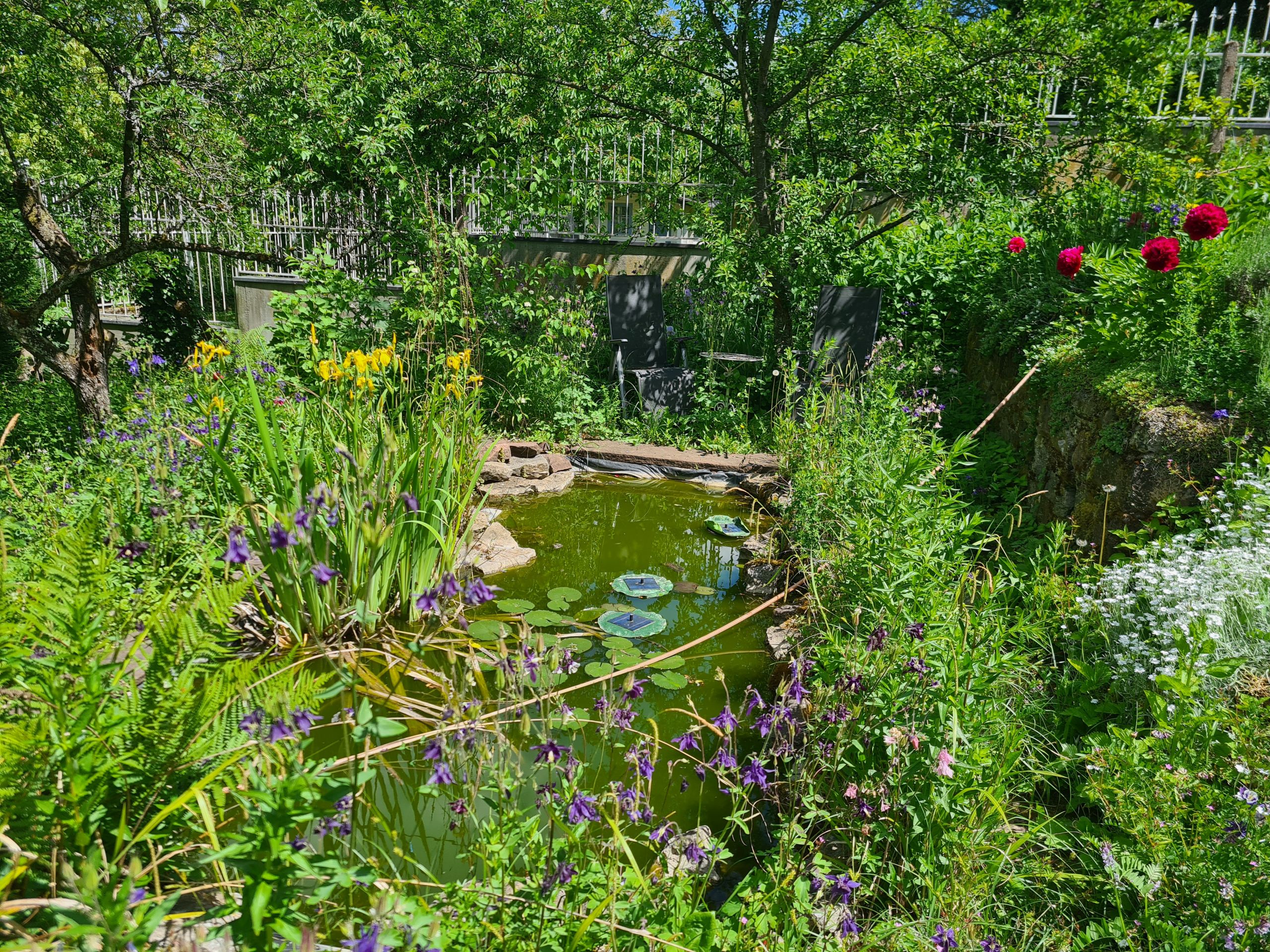 warum-pflanzen-nicht-wirken-wenn-der-koerper-im-alarmmodus-steckt-und-welche-begleitung-das-system-wieder-empfaenglich-machen-kann