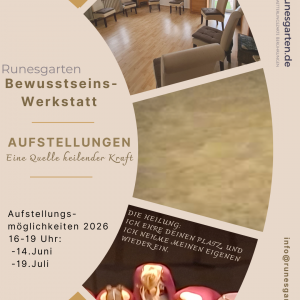 Aufstellung und Systemdynamiken