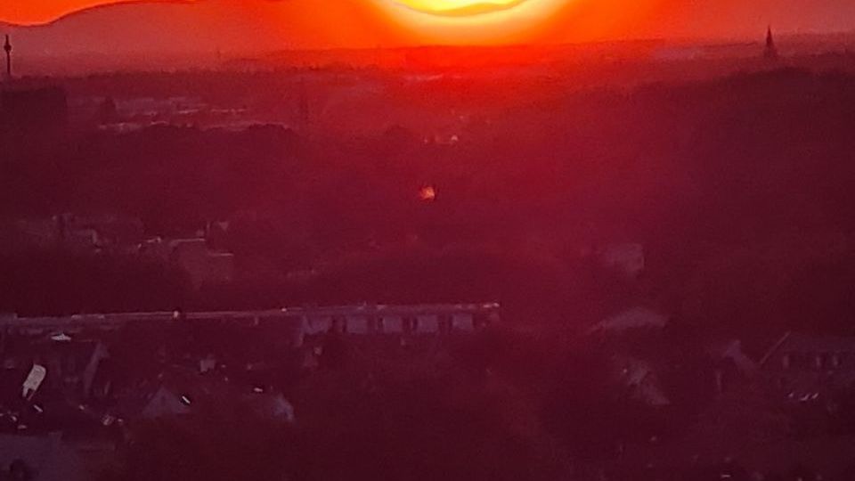 Sonnenuntergang in den Weinbergen am Turmberg
