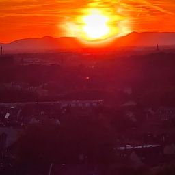 Sonnenuntergang in den Weinbergen am Turmberg