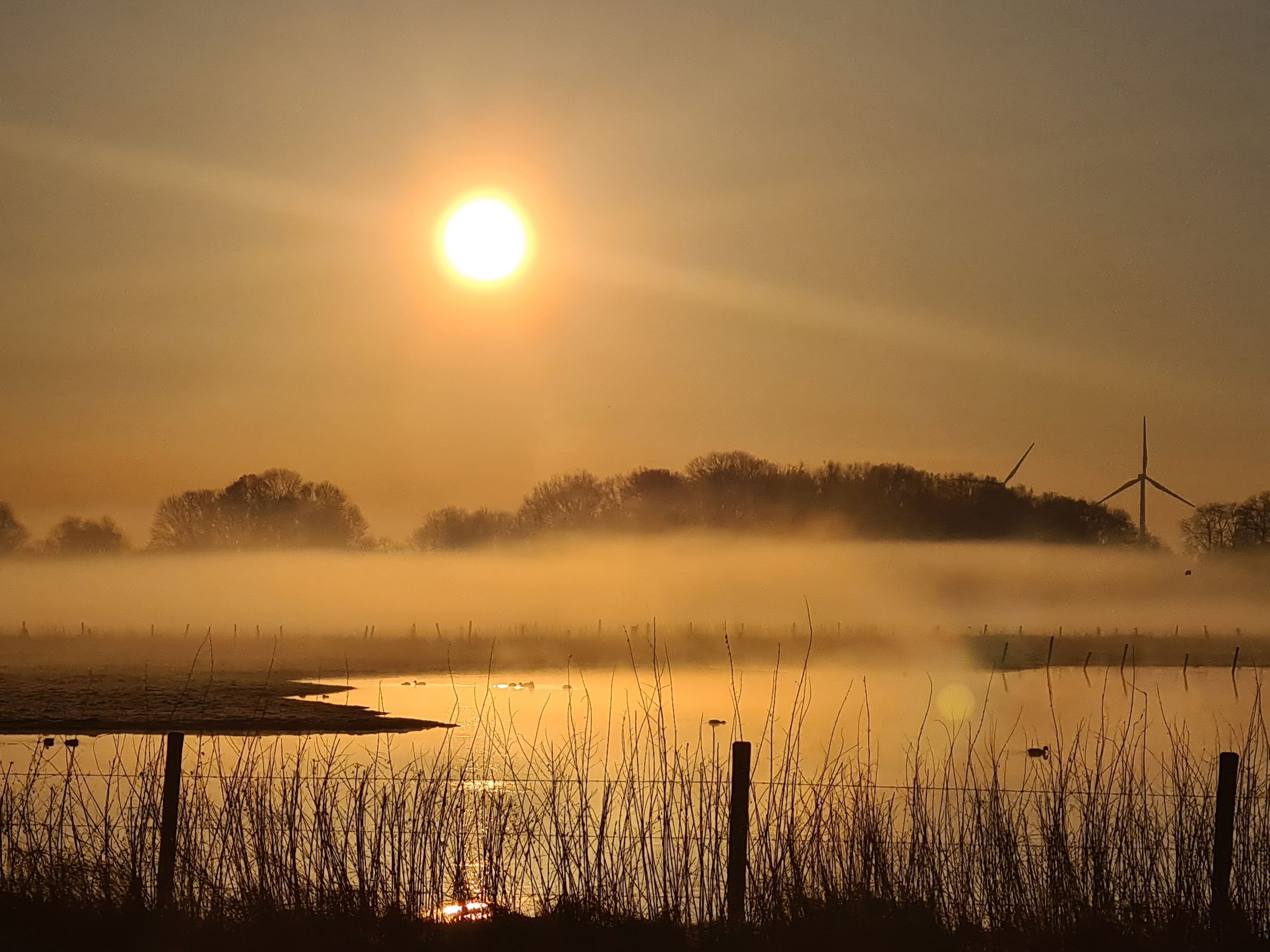 024-stillepraxis-in-runes-garten-bewusstseins-werkstatt