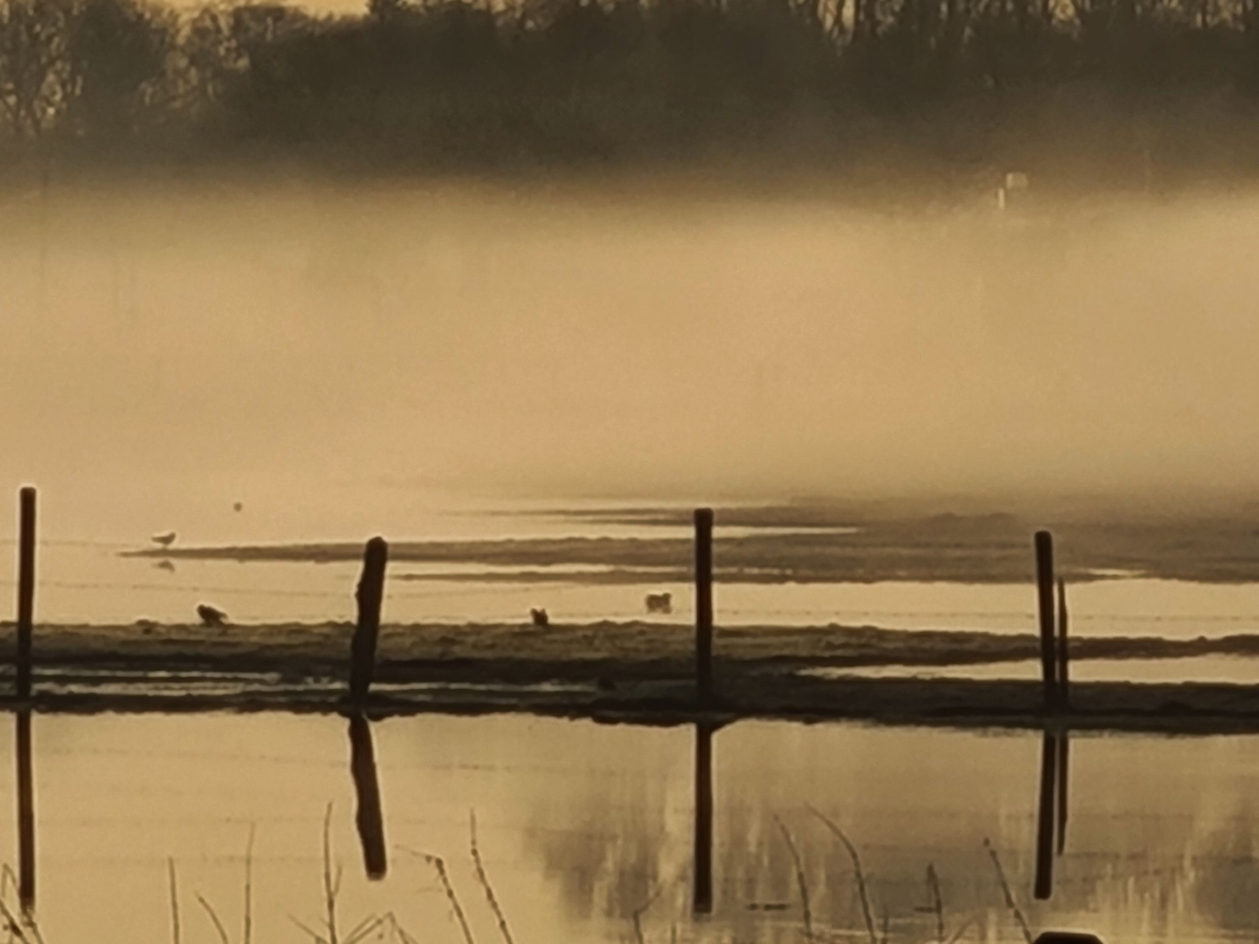 023-ueber-das-leiden