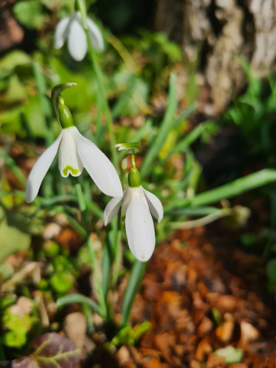 027-schuld-das-leise-wissen-der-seele